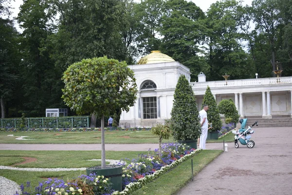 Fuente Parque Diseño Del Paisaje — Foto de Stock