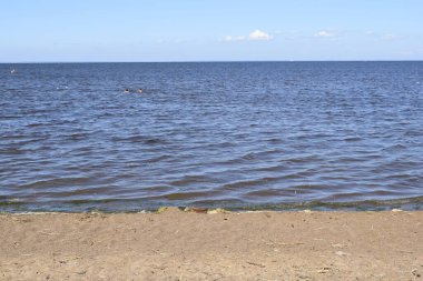 Deniz kıyısı, kum, yaz günü