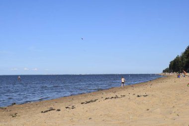 Deniz kıyısı, kum, yaz günü