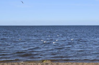 Deniz kıyısı, kum, yaz günü