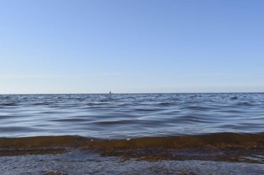 Deniz manzarası, deniz plajı.