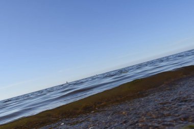 Deniz manzarası, deniz meltemi, yaz