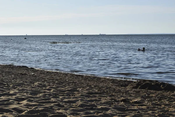 Tengerre Néző Tengerre Néző Strand — Stock Fotó