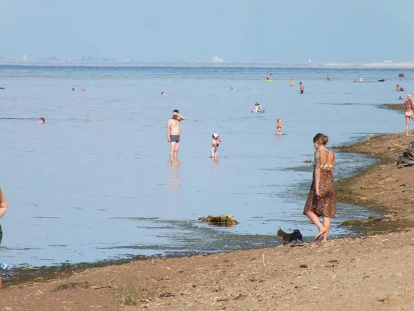 Deniz manzarası, deniz plajı.