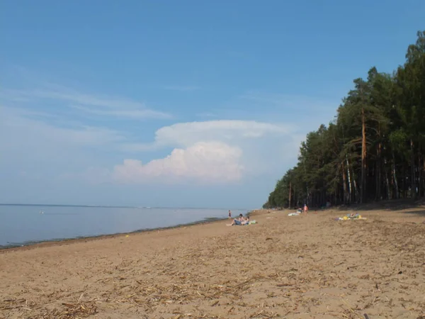 Widok Morze Plaża Morska — Zdjęcie stockowe