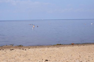 Kumsal, insanların dinlenebileceği bir yer.