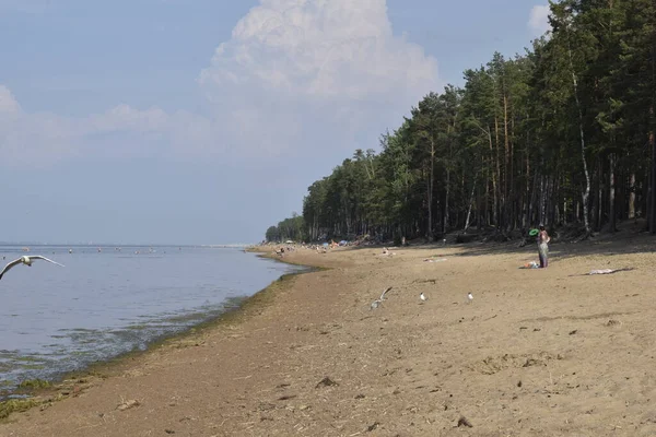 Kikapcsolódás Strandon Emberek Tenger Homok — Stock Fotó