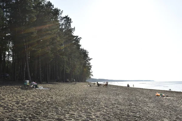 Erholung Strand Der Menschen Meer Sand — Stockfoto