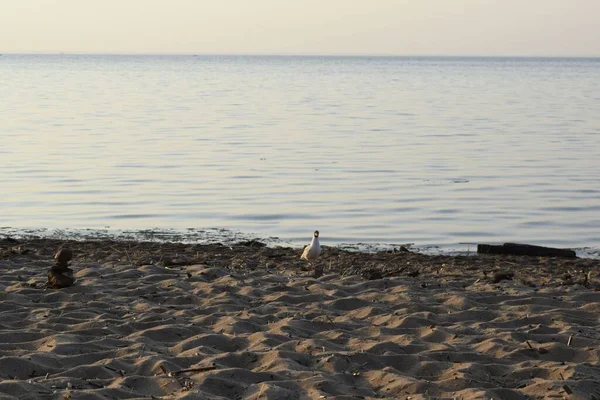 해변의 모래와 해변에서의 — 스톡 사진