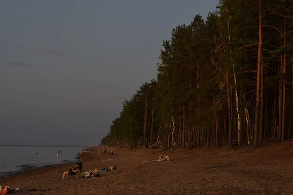 Naplemente Strandon Homok Strand Pihentető Strandon — Stock Fotó