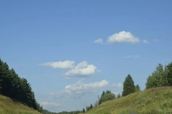 Fält Gröna Träd Blå Himmel — Stockfoto