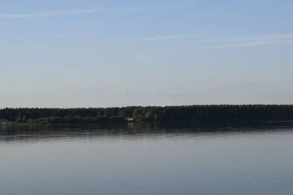 Sommerlandschaft Fluss Und Nadelwald — Stockfoto