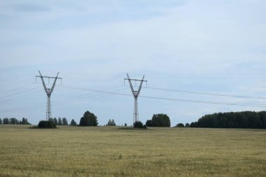 ekilen tarlalar, açık alanlar, yaz günü