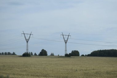 ekilen tarlalar, açık alanlar, yaz günü