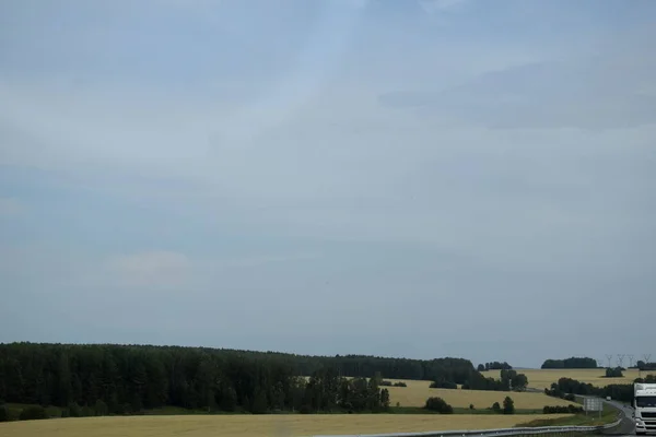 Gezaaide Velden Open Ruimten Zomerdag — Stockfoto