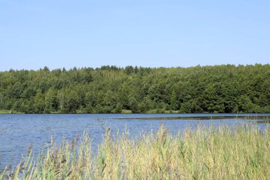 Göl ve bulutlarla kaplı yaz manzarası