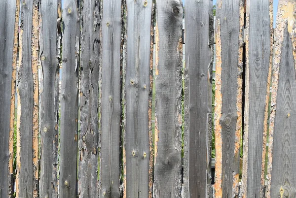 Wooden Fence Wooden Plank Background — Stock Photo, Image