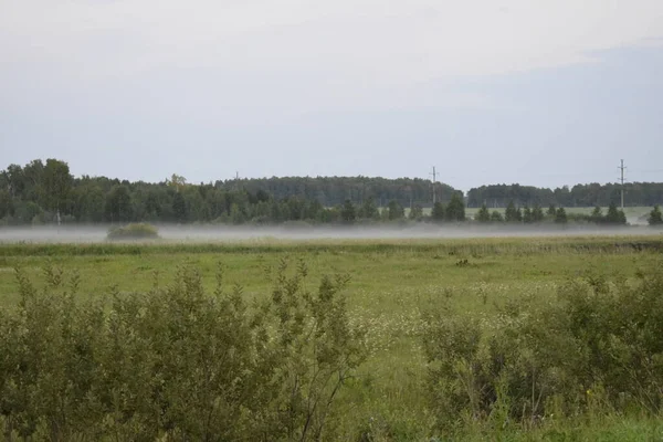 Niebla Mañana Verano Niebla Sobre Campo —  Fotos de Stock