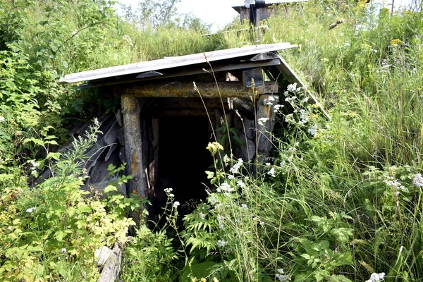 Entrance Cellar Wintering Place Beehive Bees — Stock Photo, Image