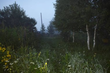 Kırsalda sisli bir sabah