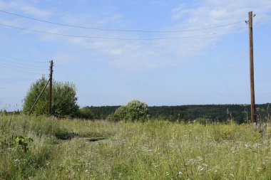Yeşil ağaçlar ve bulutlu mavi bir gökyüzü