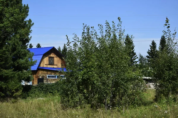 Une Journée Été Campagne — Photo