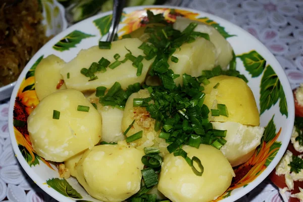 Вареный Картофель Травами Тарелке — стоковое фото