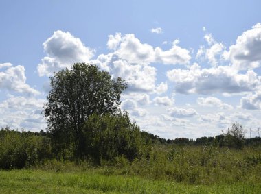 Yaz manzarası, çayır ve bulutlu gökyüzü.