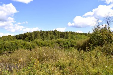Yaz manzarası, çayır ve bulutlu gökyüzü.
