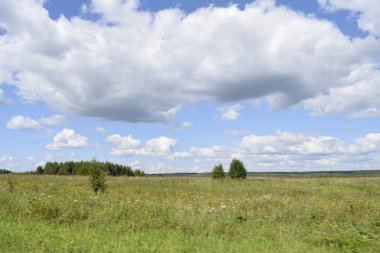 Yaz manzarası, çayır ve bulutlu gökyüzü.