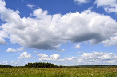 Yaz manzarası, çayır ve bulutlu gökyüzü.