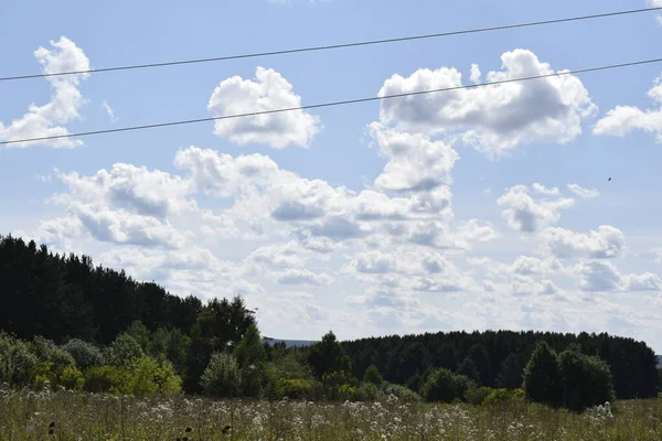 Letni Krajobraz Łąka Niebo Chmurami — Zdjęcie stockowe