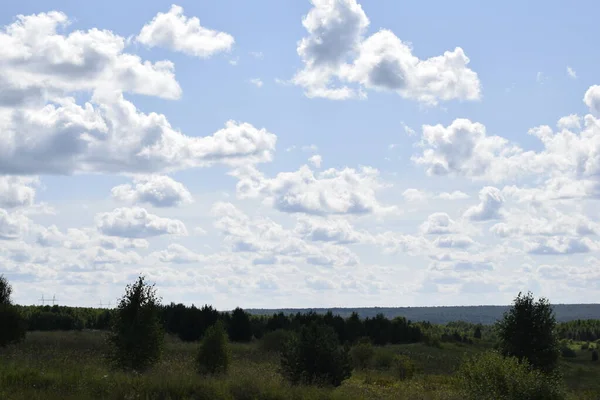 Letni Krajobraz Łąka Niebo Chmurami — Zdjęcie stockowe