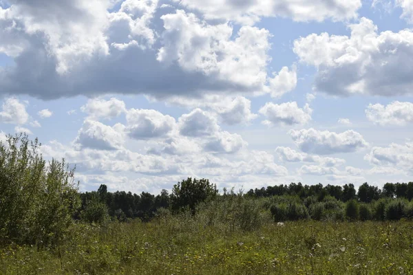 Sommar Landskap Äng Och Himmel Med Moln — Stockfoto