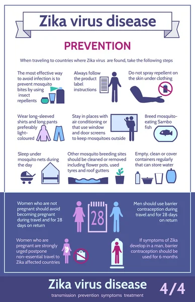 Infographie du virus Zika avec des icônes et du texte.Informations sur pre — Image vectorielle