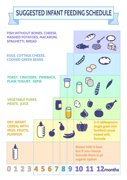 Informazioni dettagliate sugli alimenti per l'infanzia Infographic.baby primi alimenti — Vettoriale Stock