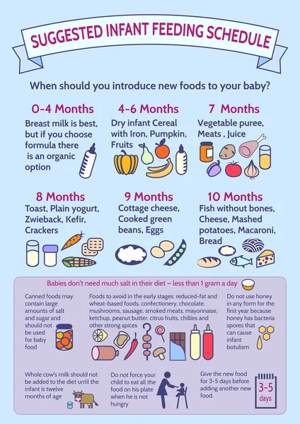 Informazioni dettagliate sull'infografica per alimenti per neonati Presentazione Templ — Vettoriale Stock