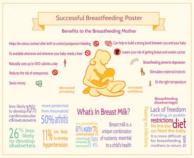 Successful Breastfeeding Poster. Maternity Infographic Template.
