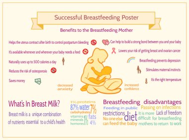 Successful Breastfeeding Poster. Maternity Infographic Template.