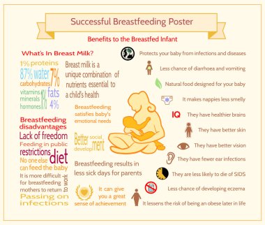 Successful Breastfeeding Poster. Maternity Infographic Template.