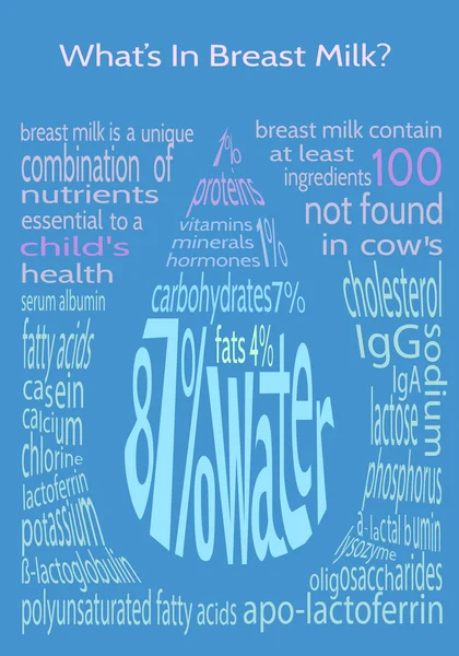 Infográfico O que está no leite materno ? — Vetor de Stock