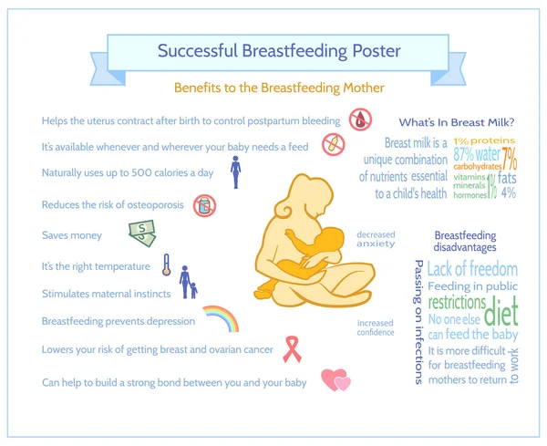 Cartaz de Aleitamento Materno bem sucedido. Modelo de Infográfico de Maternidade . —  Vetores de Stock