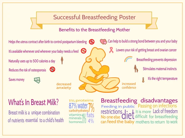 Cartaz de Aleitamento Materno bem sucedido. Modelo de Infográfico de Maternidade . —  Vetores de Stock