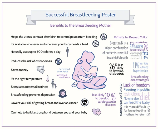 Successful Breastfeeding Poster. — 스톡 벡터