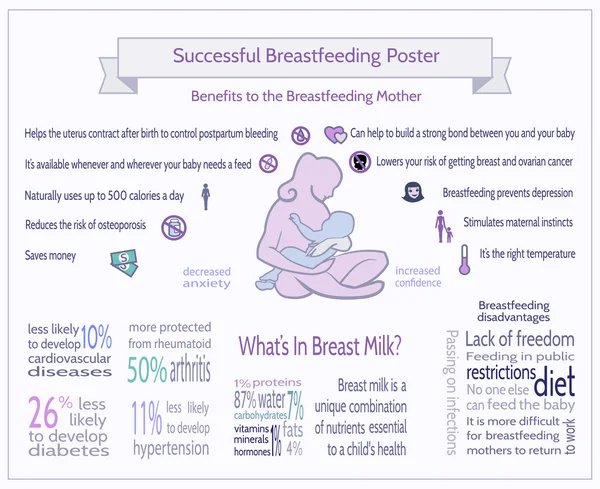 Cartaz de Aleitamento Materno bem sucedido. Modelo de Infográfico de Maternidade . — Vetor de Stock