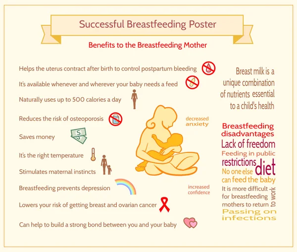 Successful Breastfeeding Poster — 스톡 벡터