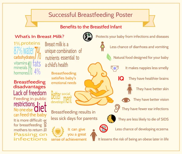 Cartaz de Aleitamento Materno bem sucedido. Modelo de Infográfico de Maternidade . —  Vetores de Stock