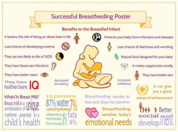 Successful Breastfeeding Poster. Benefits to the Breastfed Infan — Stock Vector