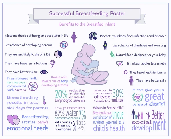 Successful Breastfeeding Poster.  Benefits to the Breastfed Infa — Stock Vector