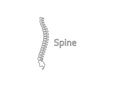 Vektör çizimi. İnsan omurgası, natomi omurga simgesi